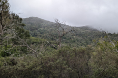 Wanderung durch den Nationalpark