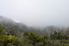 Wanderung durch den Nationalpark