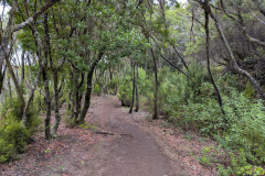 Wanderung durch den Nationalpark