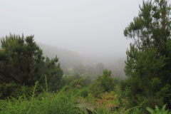 Der Ausblick beim Abstieg
