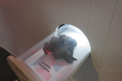 In der Ausstellung