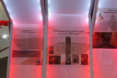 In der Ausstellung