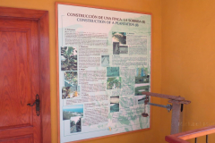 Informationstafeln zur Banane und ihrem Anbau