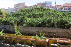 Blick in Richtung Tazacorte