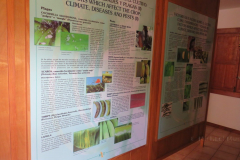 Informationstafeln zur Banane und ihrem Anbau