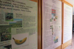 Informationstafeln zur Banane und ihrem Anbau