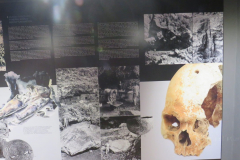 In der Ausstellung