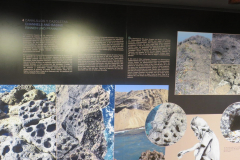 In der Ausstellung