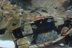 Schöne Spiegelung der Farben