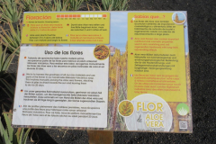 Informationstafel zu den Aloe vera Blüten