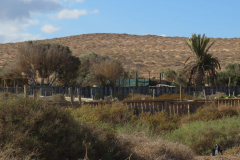 Noch mehr Kleingärten