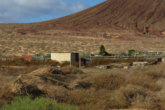 Noch mehr Kleingärten