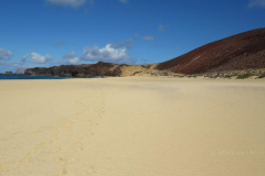 Playa de las conchas