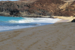 Playa de las conchas