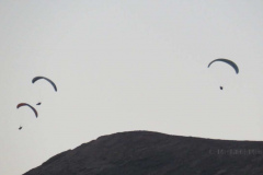 Paragliding
