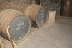 Impressionen aus dem Museum