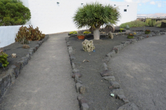 Der Kaktusgarten