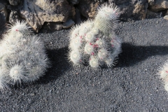 Flauschig?