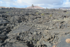 Lavafelder