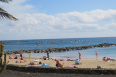 Auch die Windsurfer sind hier zahlreich vertreten