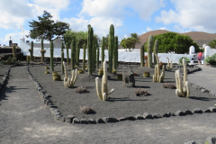 Der Kaktusgarten