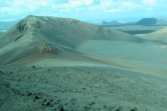 Fahrt im Bus durch den Nationalpark