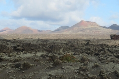 Blick über das Feld vor dem Rabenvulkan