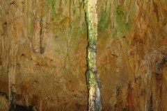 Impressionen aus der Höhle