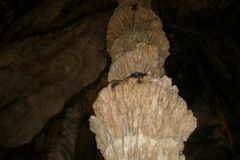 Impressionen aus der Höhle