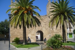 Alcudia