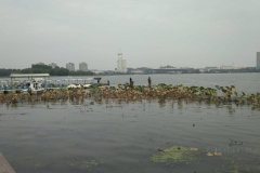 Xuanwu See