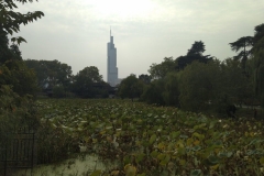 Zifeng Tower