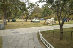 Camping?