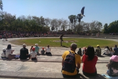 Bei der Greifvogelshow