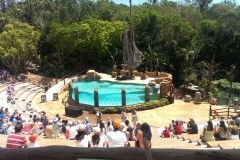 Das Amphitheater der Seelöwenshow