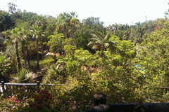 2015-04-03 12.40.30
