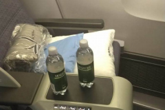 Business Class Sitz