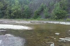 Der Weg vom Cayuga Lake aus