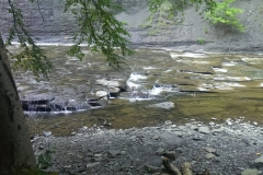 Der Weg vom Cayuga Lake aus